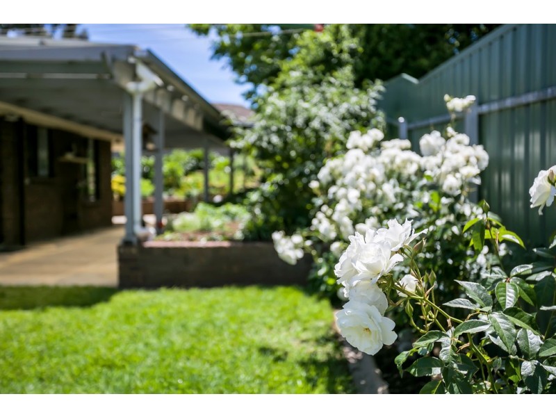 3 Jo Court, Aberfoyle Park SA 5159