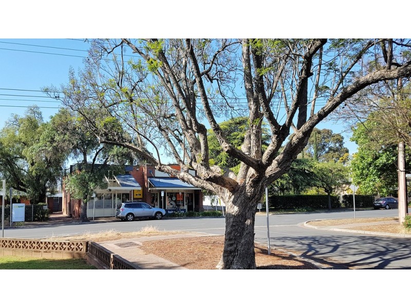 1/46 Dulwich Avenue, Dulwich SA 5065