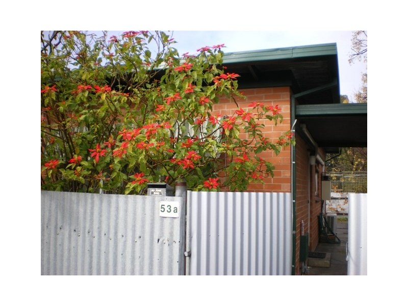 53A Arthur Street, Plympton Park SA 5038