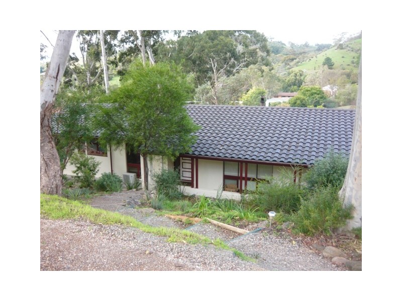 31 Hillsdale Avenue, Coromandel Valley SA 5051