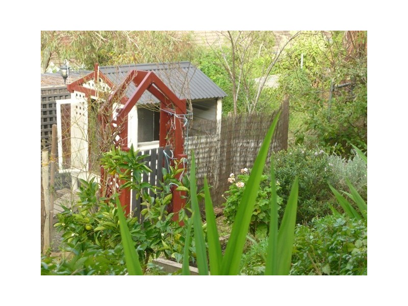 31 Hillsdale Avenue, Coromandel Valley SA 5051