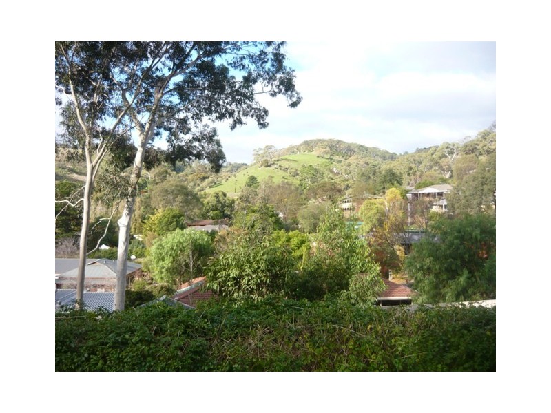 31 Hillsdale Avenue, Coromandel Valley SA 5051