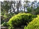 71 HIGHLAND DRIVE, Bellevue Heights SA 5050
