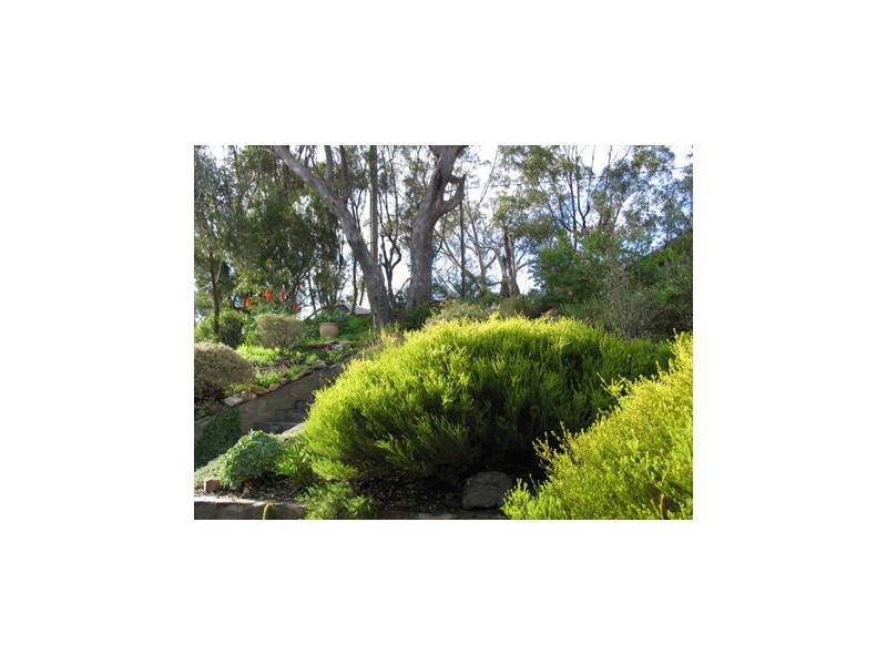 71 HIGHLAND DRIVE, Bellevue Heights SA 5050