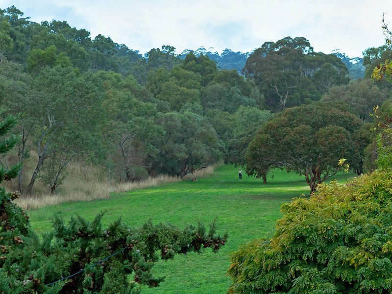 24 McHarg Road, Happy Valley SA 5159