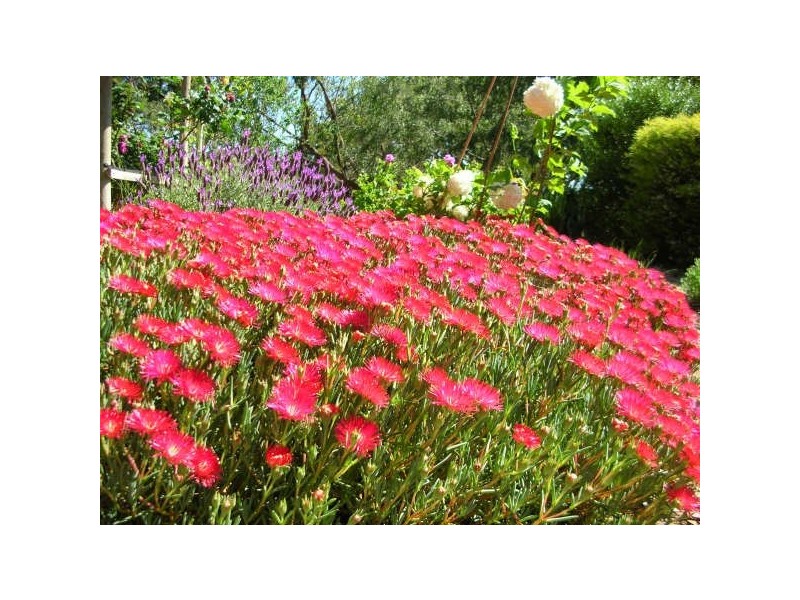 940 Ackland Hill Road, Coromandel East SA 5157