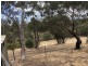 10 Ellis Ave, Eden Hills SA 5050