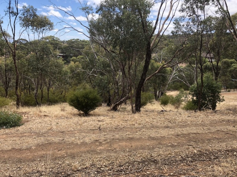 10 Ellis Ave, Eden Hills SA 5050