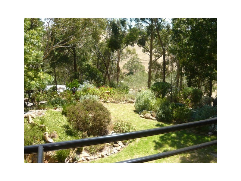 95 SHEOAK ROAD, Belair SA 5052