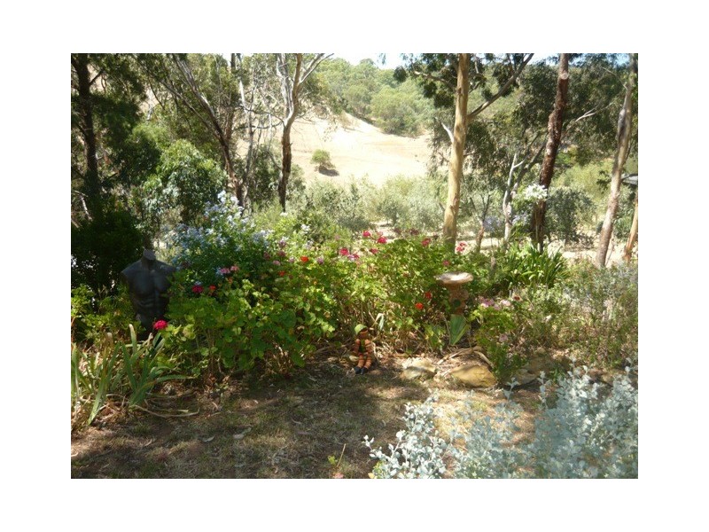 95 SHEOAK ROAD, Belair SA 5052