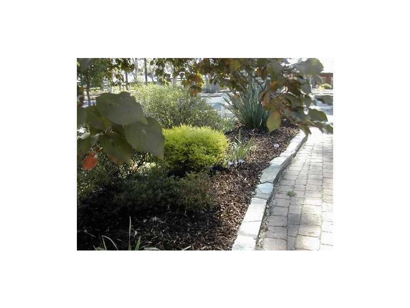 59 GLOUCESTER AVENUE, Belair SA 5052