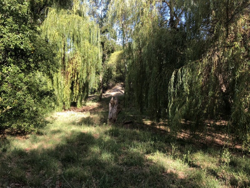 10 Grants Gully Rd, Clarendon SA 5157