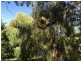 10 Grants Gully Rd, Clarendon SA 5157