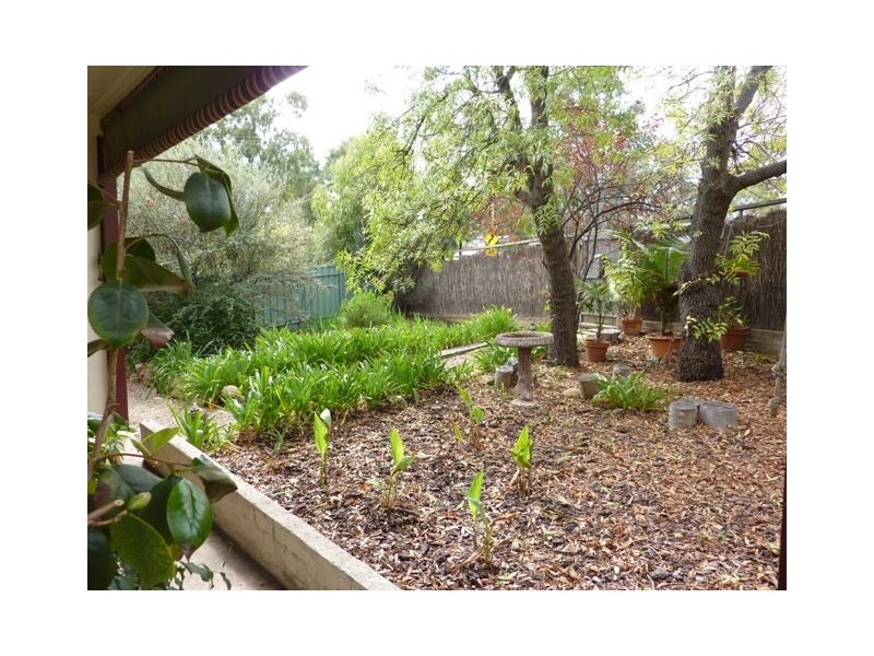 3  Penno Parade South, Blackwood SA 5051