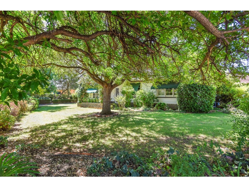 10 Alison Avenue, Marion SA 5043