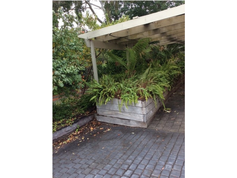 25 Pine Drv, Aberfoyle Park SA 5159