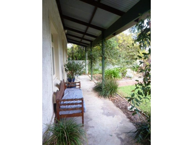 13 Freeling Crescent, Colonel Light Gardens SA 5041