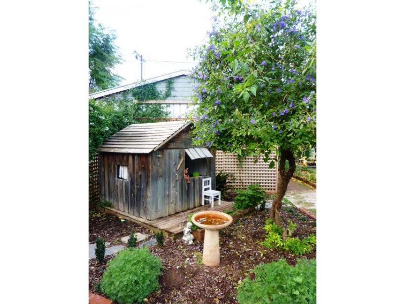 13 Freeling Crescent, Colonel Light Gardens SA 5041