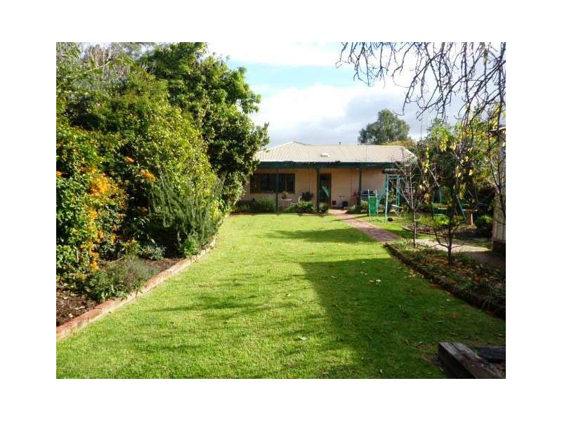 13 Freeling Crescent, Colonel Light Gardens SA 5041
