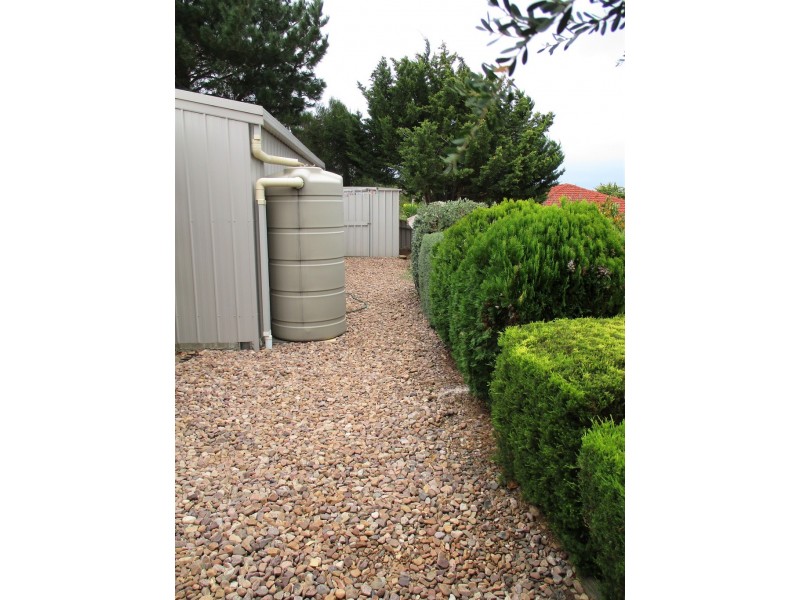 12 Coachwood Drive, Aberfoyle Park SA 5159