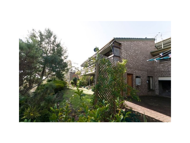 12 Salvador Street, Flagstaff Hill SA 5159