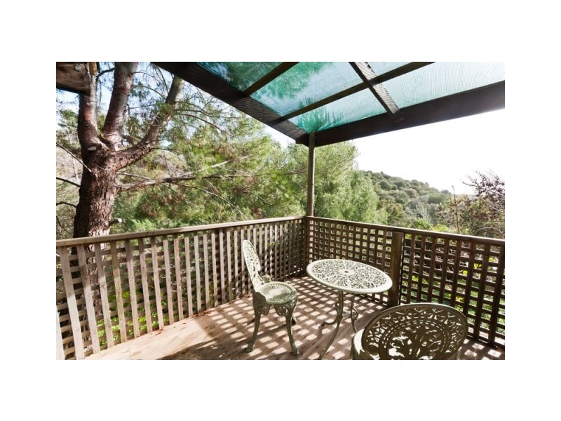 12 Salvador Street, Flagstaff Hill SA 5159