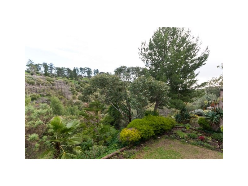 12 Salvador Street, Flagstaff Hill SA 5159