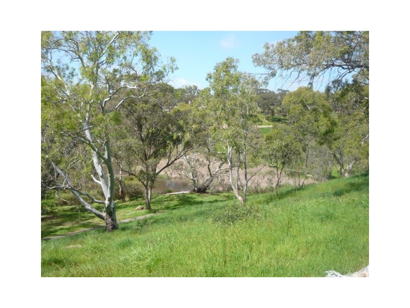 33 Highfield Drive, Craigburn Farm SA 5051