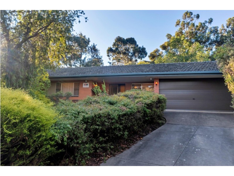 36 Meadow Avenue, Hawthorndene SA 5051