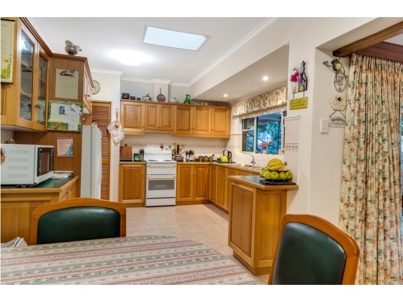 36 Meadow Avenue, Hawthorndene SA 5051