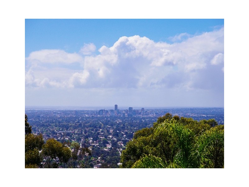 14 Lind Avenue, Belair SA 5052