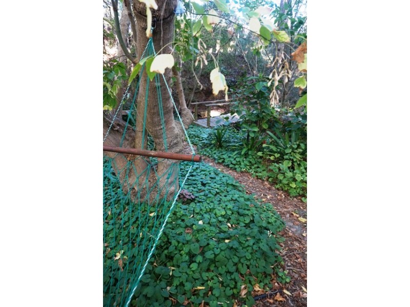 13 Colorado Drive, Glenalta SA 5052