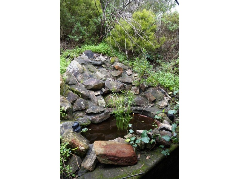 3 Kerry Street, Coromandel Valley SA 5051