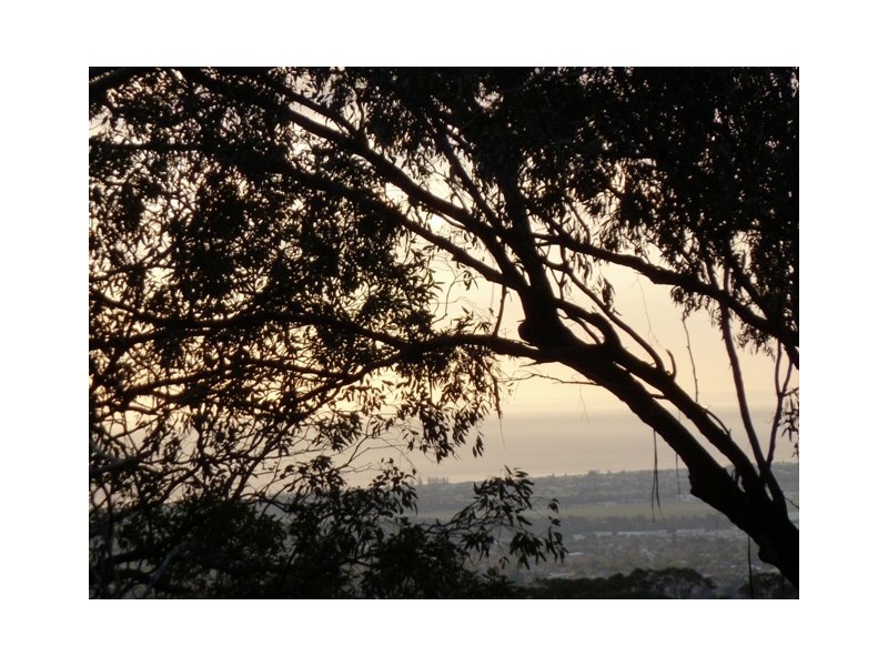 125 Gloucester Ave, Belair SA 5052