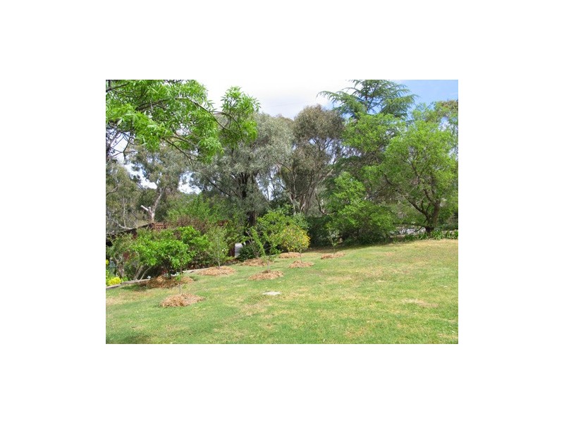 13 GREVILLEA WAY, Belair SA 5052