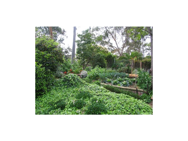 13 GREVILLEA WAY, Belair SA 5052