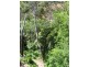 29 REYNOLDS STREET, Blackwood SA 5051