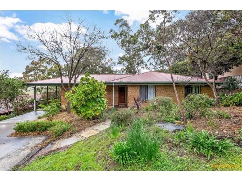 6 Plymouth Avenue, Coromandel Valley SA 5051