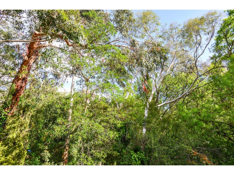3 Willunga Close, Eden Hills SA 5050