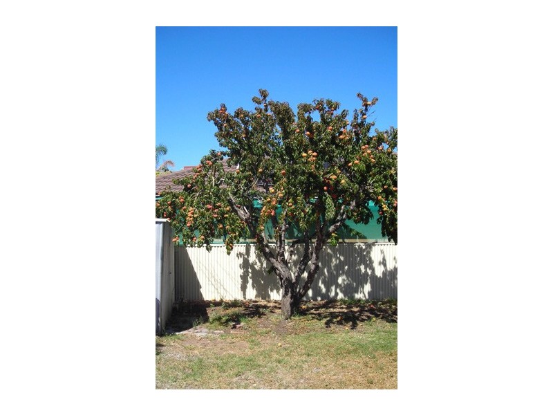 36 NORSEMAN STREET, Port Noarlunga South SA 5167