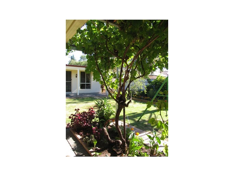 11 DUMBARTON AVENUE, Edwardstown SA 5039