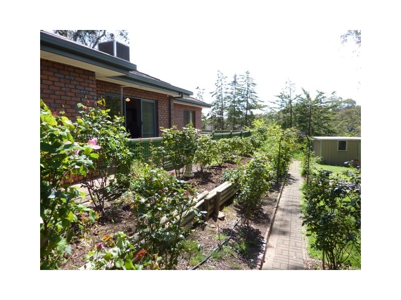 32 SHANNON CRESCENT, Coromandel Valley SA 5051
