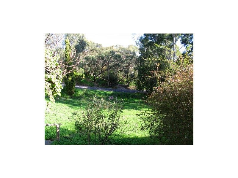 22 Hawker Avenue, Belair SA 5052