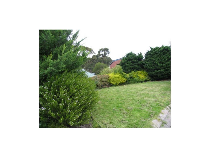 4 Montane Court, Aberfoyle Park SA 5159