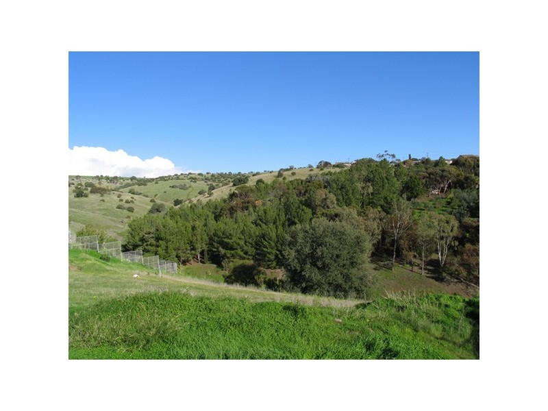 11 Spinks Road, Marino SA 5049