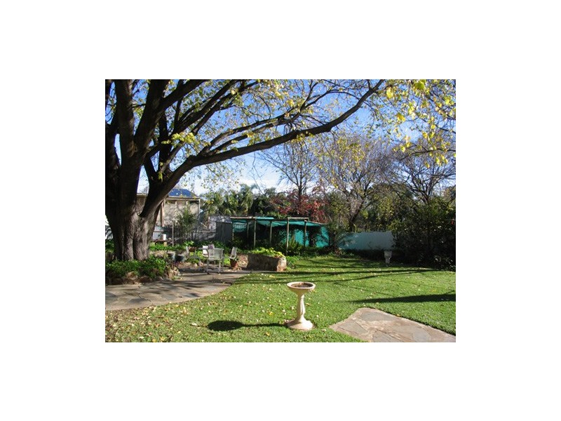 34 Emily Avenue, Clapham SA 5062