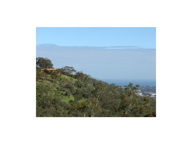 21 Centre Way, Belair SA 5052