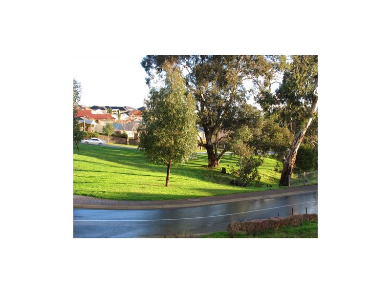 Lot 295 SUN DEW AVENUE, Craigburn Farm SA 5051