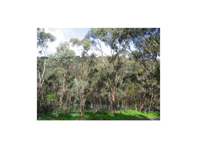 21 Gum Grove, Belair SA 5052