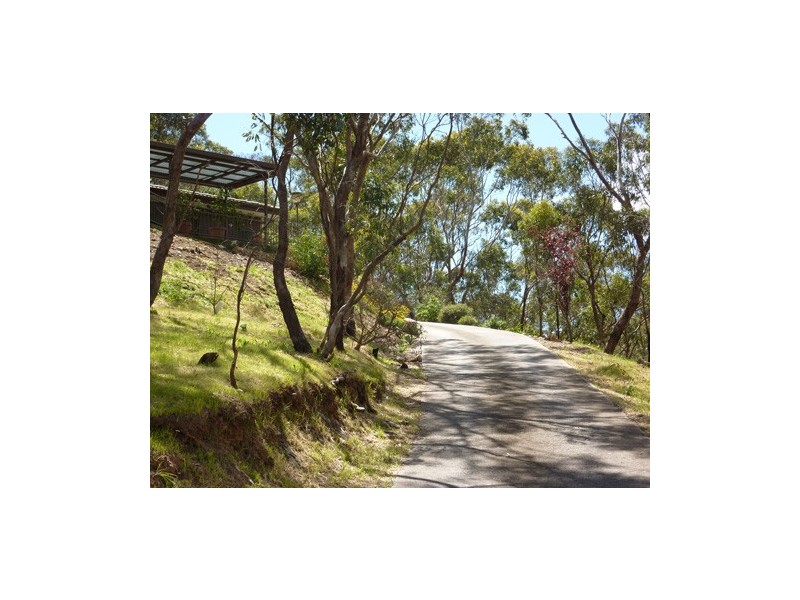 21 Gum Grove, Belair SA 5052